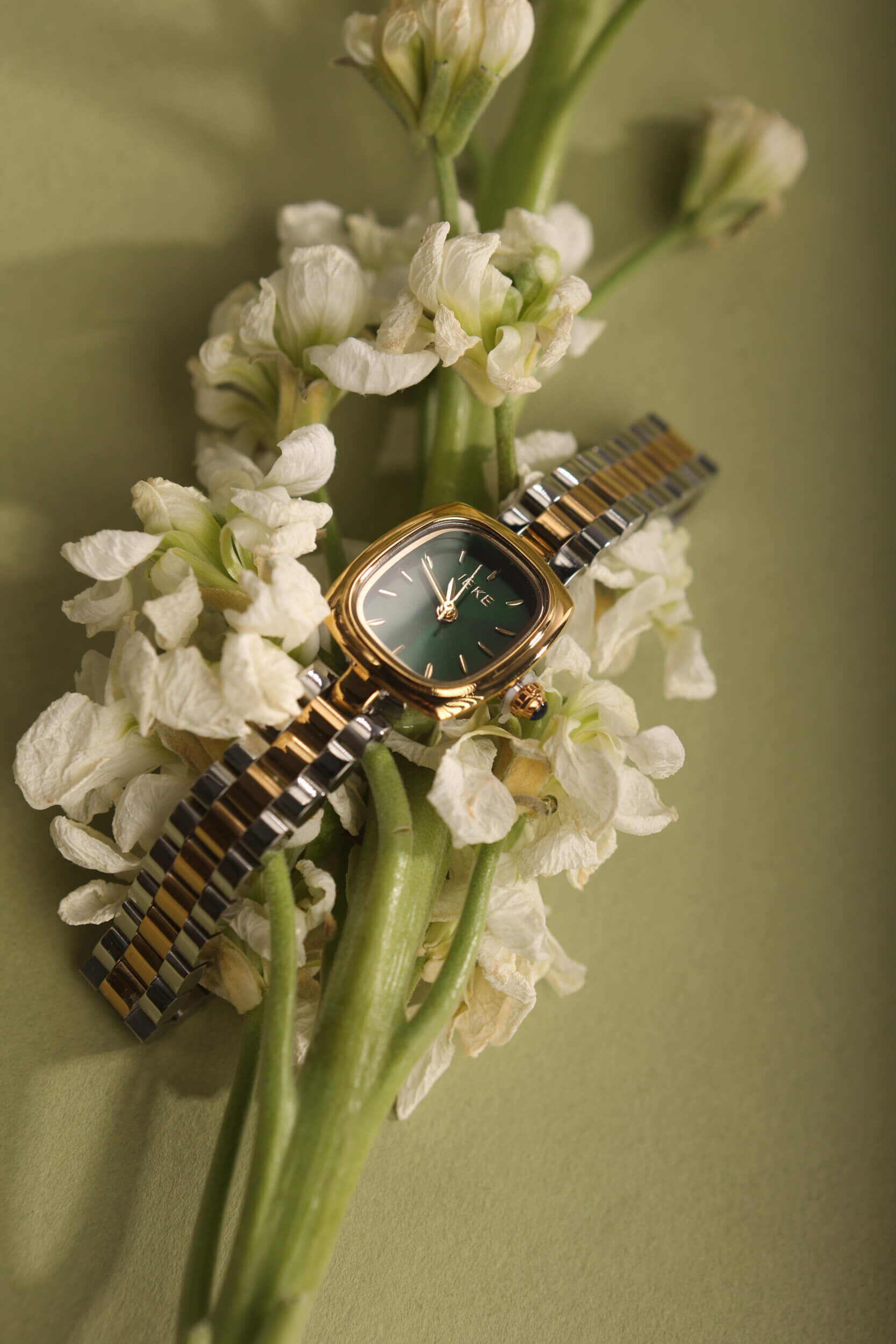 Fern Vintage Watch