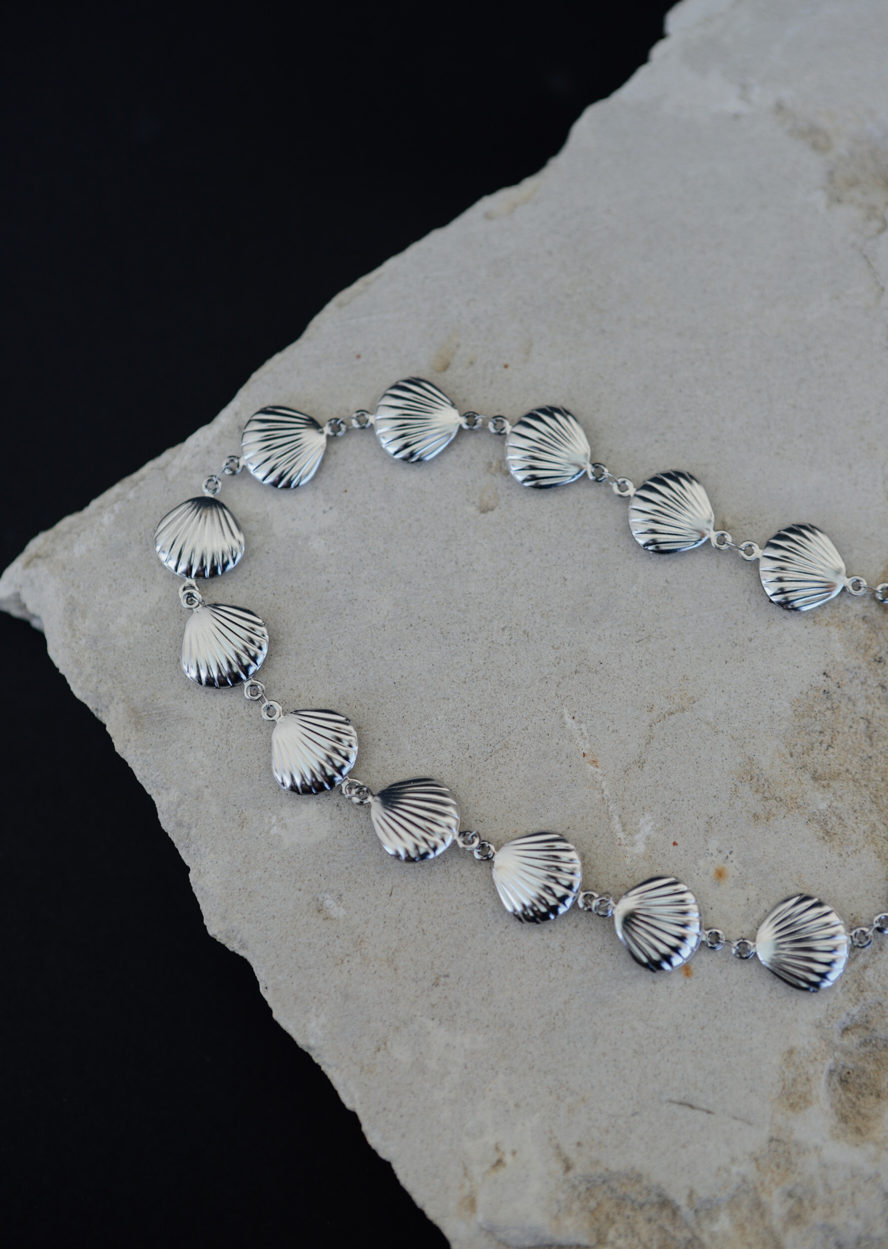 Chocker Seashell Necklace
