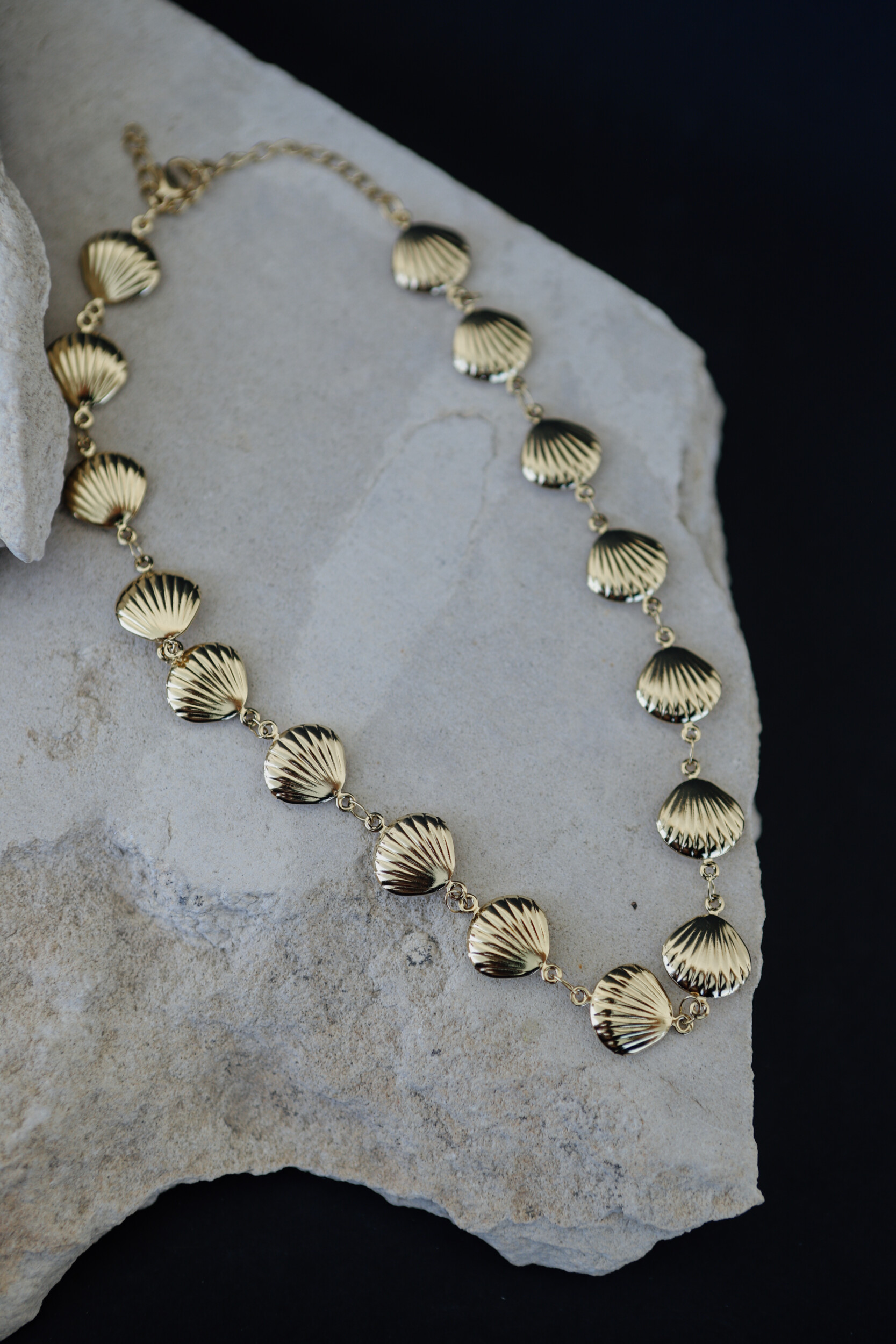 Chocker Seashell Necklace